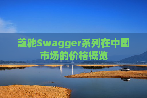 蔻驰Swagger系列在中国市场的价格概览